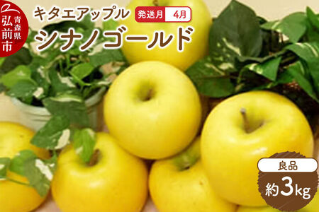 【26年4月クール便発送】りんご シナノゴールド【良品】約3kg【CA貯蔵】キタエアップル