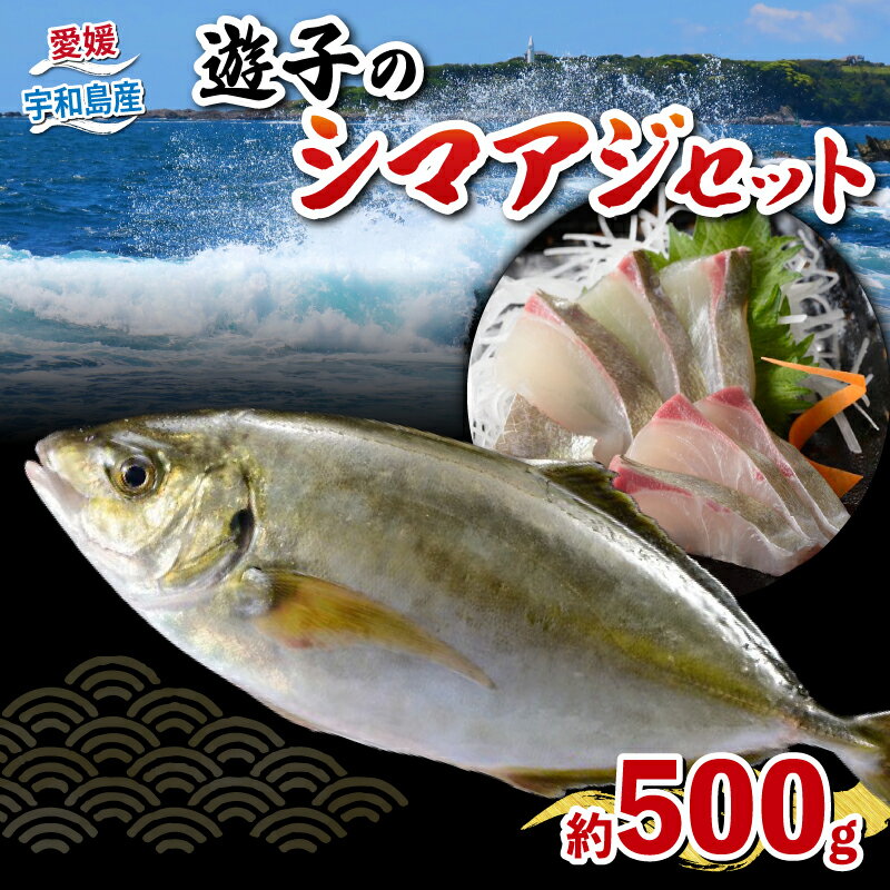 【ふるさと納税】 シマアジ セット 遊子産 計 500g 愛媛県漁業協同組合遊子支所 遊子 スキンレスロイン 250g 皮無し 片身分 ロイン 250g 皮付き 魚介 刺身 お刺身 刺し身 お刺し身 海の幸 海鮮 海鮮丼 しゃぶしゃぶ たたき 冷凍 アレンジ 国産 愛媛 宇和島 D012-022006