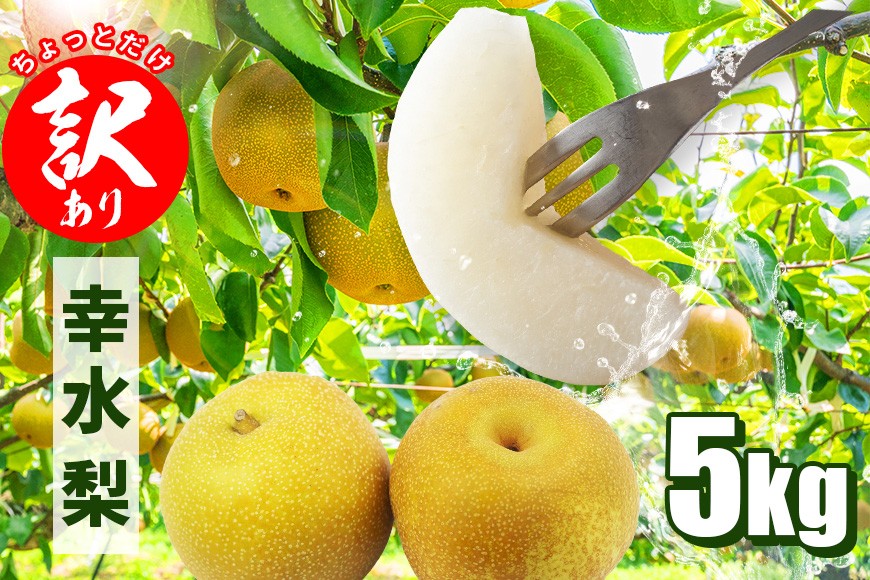 
            梨 幸水 5kg (10～16個入) 【先行販売/8月中旬から発送】訳あり ちょっとだけ なし ナシ フルーツ お取り寄せ 直送 幸水梨 箱 訳アリ 甘い 産地 茨城  笠間 果汁 新鮮 デザート おやつ くだもの 産地直送 茨城県 笠間市 いばらき
          