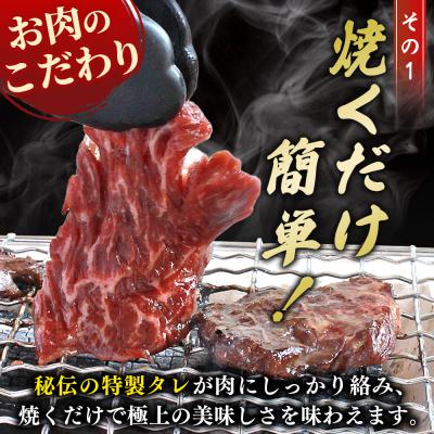ふるさと納税 西予市 <秘伝の特製タレ仕込み!やわらか赤身ハラミ 約1kg(500g×2)> 訳あり はらみ ハラミ 赤身 |  | 03