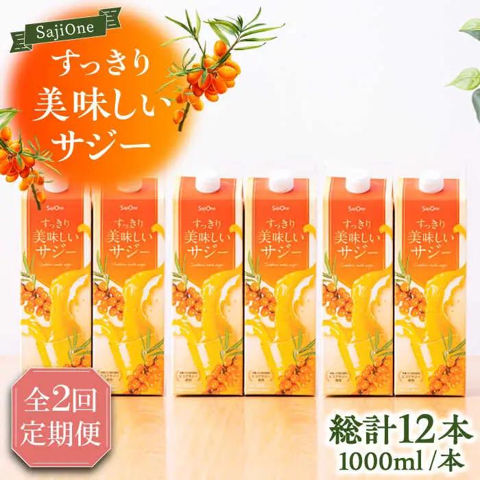 【全2回定期便】すっきり美味しい サジー 1000ml×6本 VAX047 サジージュース