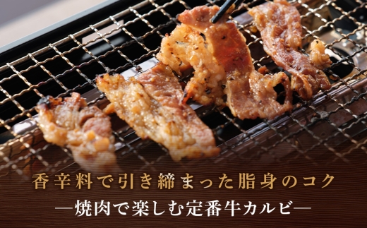 ナカガワ牛カルビ(スパイシー) 250g×6 計1500g