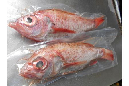 低温技術で瞬間冷凍～いつでも獲れたての味～『山陰・日本海産のどぐろ4尾』下処理済 塩焼き、煮つけ、蒸し物用 魚介類 魚貝類 魚 のどぐろ 冷凍 下処理済み 【1458】