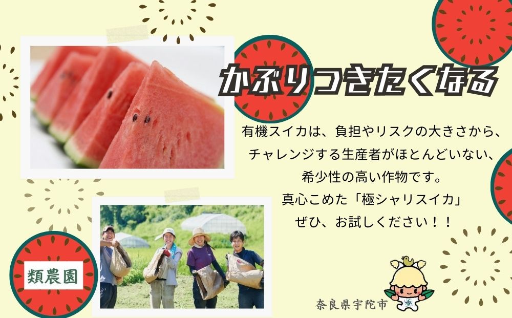 ＜予約販売＞【7月下旬〜8月上旬出荷】有機小玉すいか 「極シャリ」約2kg／ふるさと納税 有機 小玉すいか 極シャリ 贈答 ギフト お盆 お供え デザート おいしい 奈良県 宇陀市 類農園