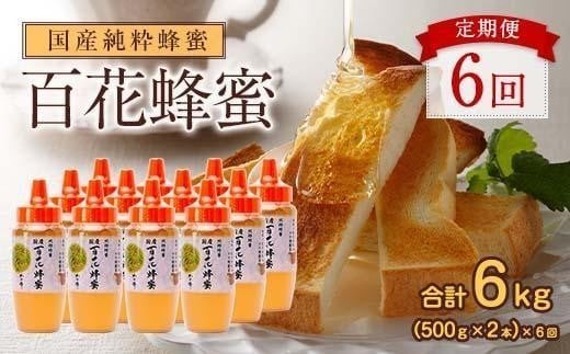 
                  【全6回】 定期便 かの蜂 国産 百花蜂蜜 合計6kg（とんがり容器500gを毎月2本お届け） 純粋はちみつ ハチミツ 非加熱 ハニー 大容量 長期保存 美容 健康 健康食品 定期便
                