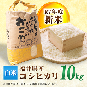 【 先行予約 /10月以降配送】 【令和7年産】福井県産 こしひかり 白米10kg / 小浜市 / Grow Farm [BFDI002] 