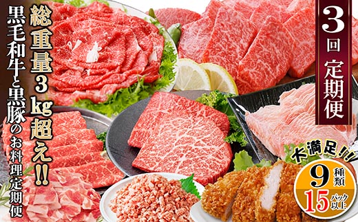 総重量3Kg越え、鹿児島県産黒毛和牛と黒豚のお料理定期便(3回配送)　EE0-0002【配送不可地域：離島】【1504377】