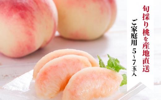 【2026年先行予約】旬採り桃 ご家庭用 5-7玉 (岡山県産) もも 真庭市 【KF-A004-02】