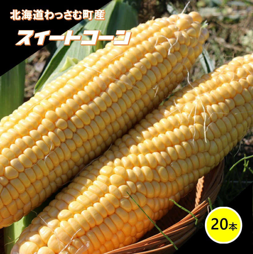 【ふるさと納税】≪令和7年産≫和寒産スイートコーン（20本セット）