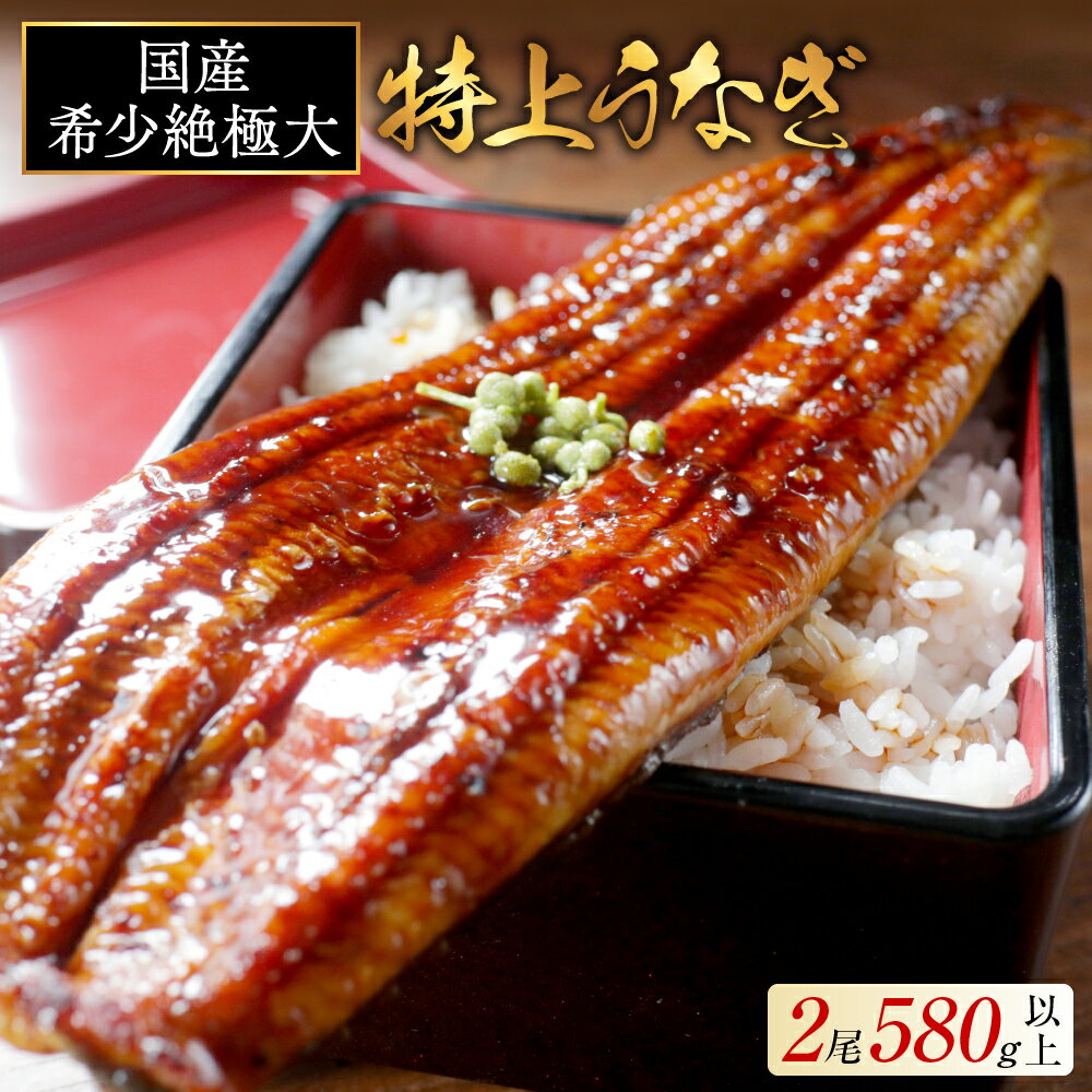 【ふるさと納税】高評価★5.0 国産 希少 極大 特上うなぎ 290g×2尾【発送時期が選べる】（ ふるさと納税 うなぎ 美味しい 鰻 ウナギ 蒲焼き 蒲焼 かばやき 魚 魚介 魚貝 海鮮 うな重 ひつまぶし 蒲焼 訳あり ギフト 人気 おすすめ 北海道 別海町 ふるさと納税 ）