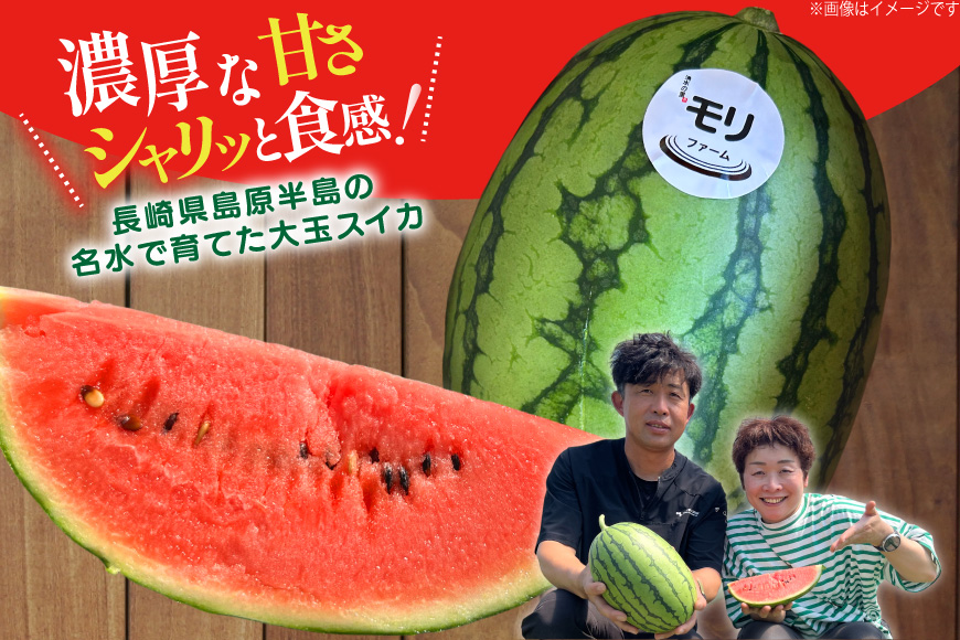 AJ460 【令和9年度出荷分】 湧水の里 モリファーム 小玉スイカ うり坊 3L 4kg 1玉 [ 先行予約 数量限定 小玉 うり坊 スイカ 西瓜 フルーツ 果物 長崎 長崎県 島原市 ]