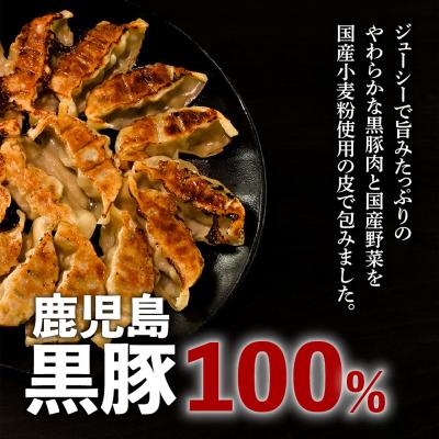 ふるさと納税 鹿児島市 【日本全国!ご当地冷凍食品大賞 2024-2025 優秀賞受賞!】鹿児島黒豚100%餃子 48個入り |  | 01