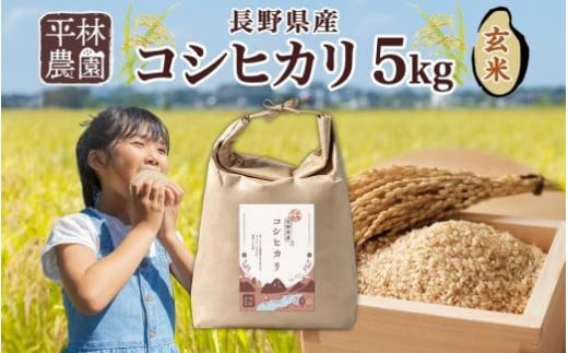 ＜新米予約＞令和6年産 コシヒカリ 玄米 5kg×1袋 長野県産 米 お米 ごはん ライス 低GI 甘み 農家直送 産直 信州 人気 ギフト お取り寄せ 平林農園 送料無料 長野県 大町市