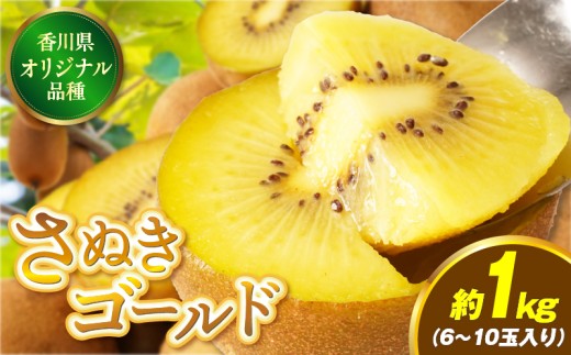 【先行受付】香川県オリジナルキウイフルーツ「さぬきゴールド」約1kg（6－10玉）【香川県共通返礼品】 | 果物 フルーツ 青果 青果物 キウイ さぬきゴールド デザート 果実 贈答 贈り物 ギフト 甘い 追熟 ジューシー 糖度が高い 季節のフルーツ 旬 おすすめ 香川県 三木町 |_mk006-052