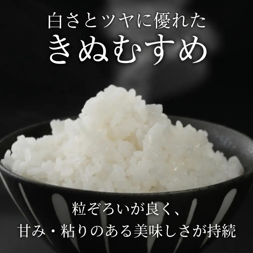 【令和8年産】 先行予約 新米 きぬむすめ 5kg 3回定期便 令和8年産 定期便 米 キヌムスメ