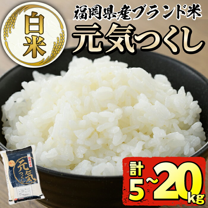 【ふるさと納税】＜先行予約受付中！2025年11月より順次発送予定＞＜容量が選べる・令和7年産＞福岡県産ブランド米「元気つくし」白米(5kg or 10kg or 20kg) お米 5キロ 10キロ 20キロ ごはん ご飯 常温 常温保存【ksg0376・ksg0378・ksg0380】【朝ごはん本舗】