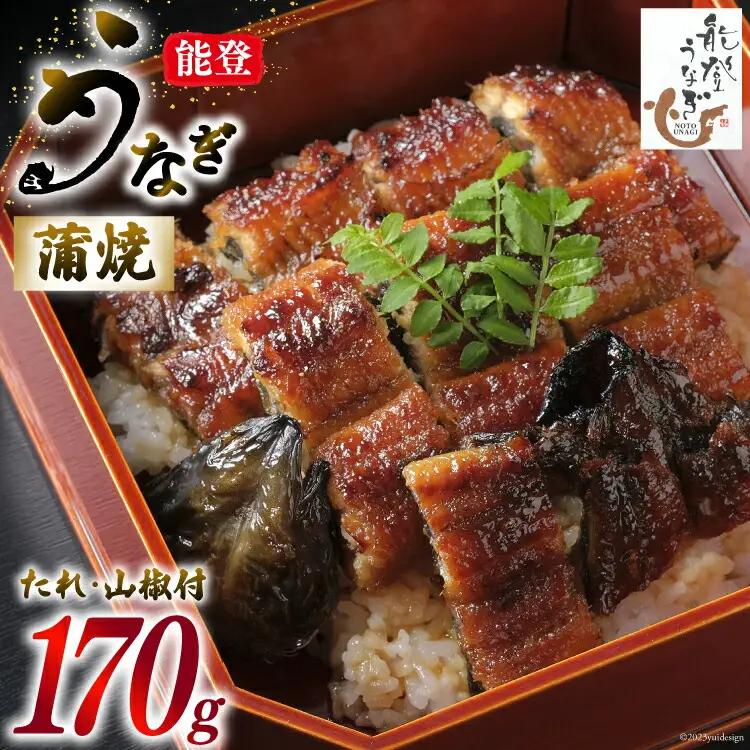 能登うなぎ 蒲焼 [ティ・エス・ピィ 石川県 志賀町 BZ4003]
