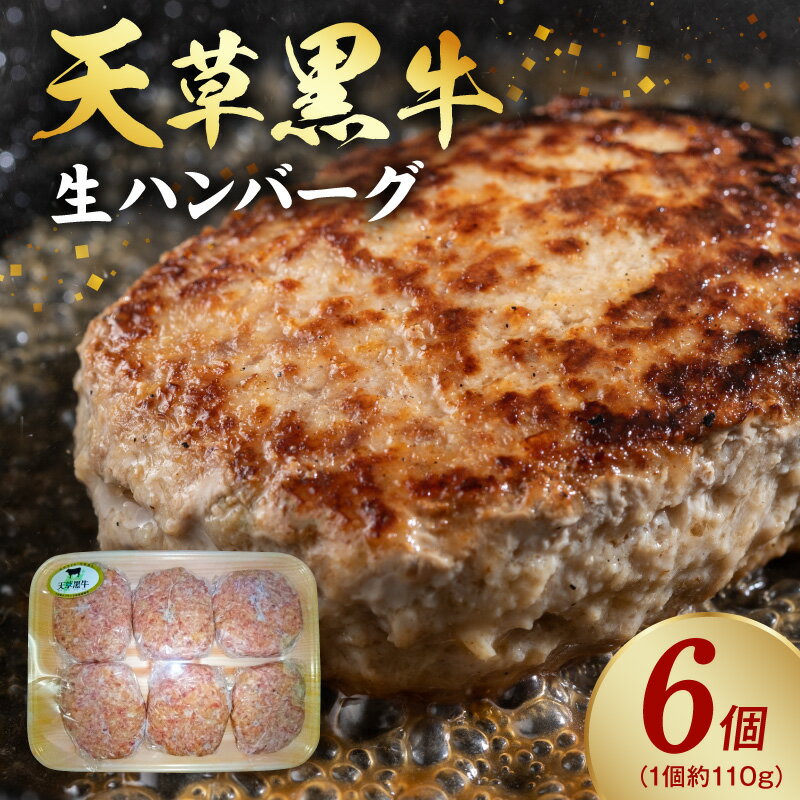 【ふるさと納税】黒牛 生ハンバーグ 110g 6個 セット 精肉店 自家製 手ごね ハンバーグ 天日塩 オリジナルスパイス 天草黒牛 芳醇 香り バラ スネ モモ 牛肉 肉汁 おかず ご飯のお供 和牛 国産 冷凍 熊本県 天草市 お取り寄せ お取り寄せグルメ 送料無料
