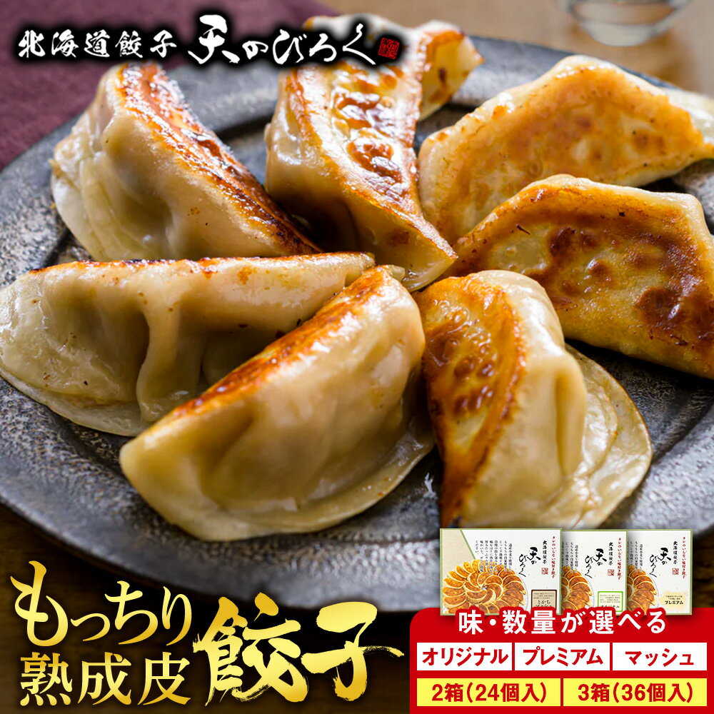 【ふるさと納税】 北海道餃子天のびろく 選べる種類（オリジナル・とかちマッシュ・プレミアム）2～3箱冷凍 北海道 千歳 加工品 惣菜 冷凍 ぎょうざ ギョーザ 【北海道千歳市】ギフト ふるさと納税
