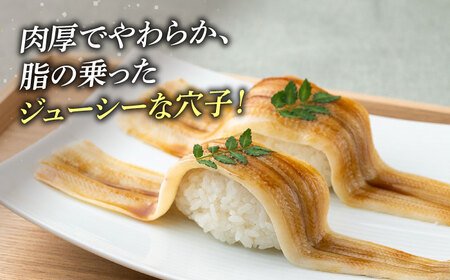 【全3回定期便】対馬 穴子 開き 800g [WAD029]アナゴ あなご 穴子重 穴子