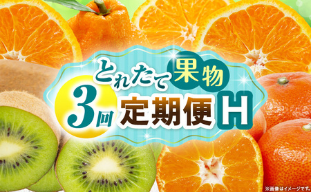 とれたて果物 3回定期便H |果物 フルーツ 果物定期便 フルーツ定期便 定期便キウイデコポンみかん 濃厚 旬の果物 定期 人気 おすすめ 贈答 贈り物 青果物 糖度 香川県 |_mk165-t072