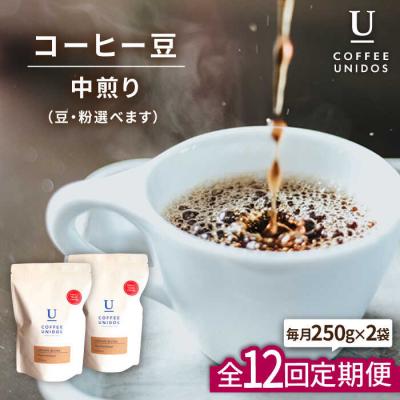 ふるさと納税 糸島市 【全12回定期便】中煎りコーヒー 豆 ウニドスブレンド 250g×2袋(豆or粉) [AQF023]