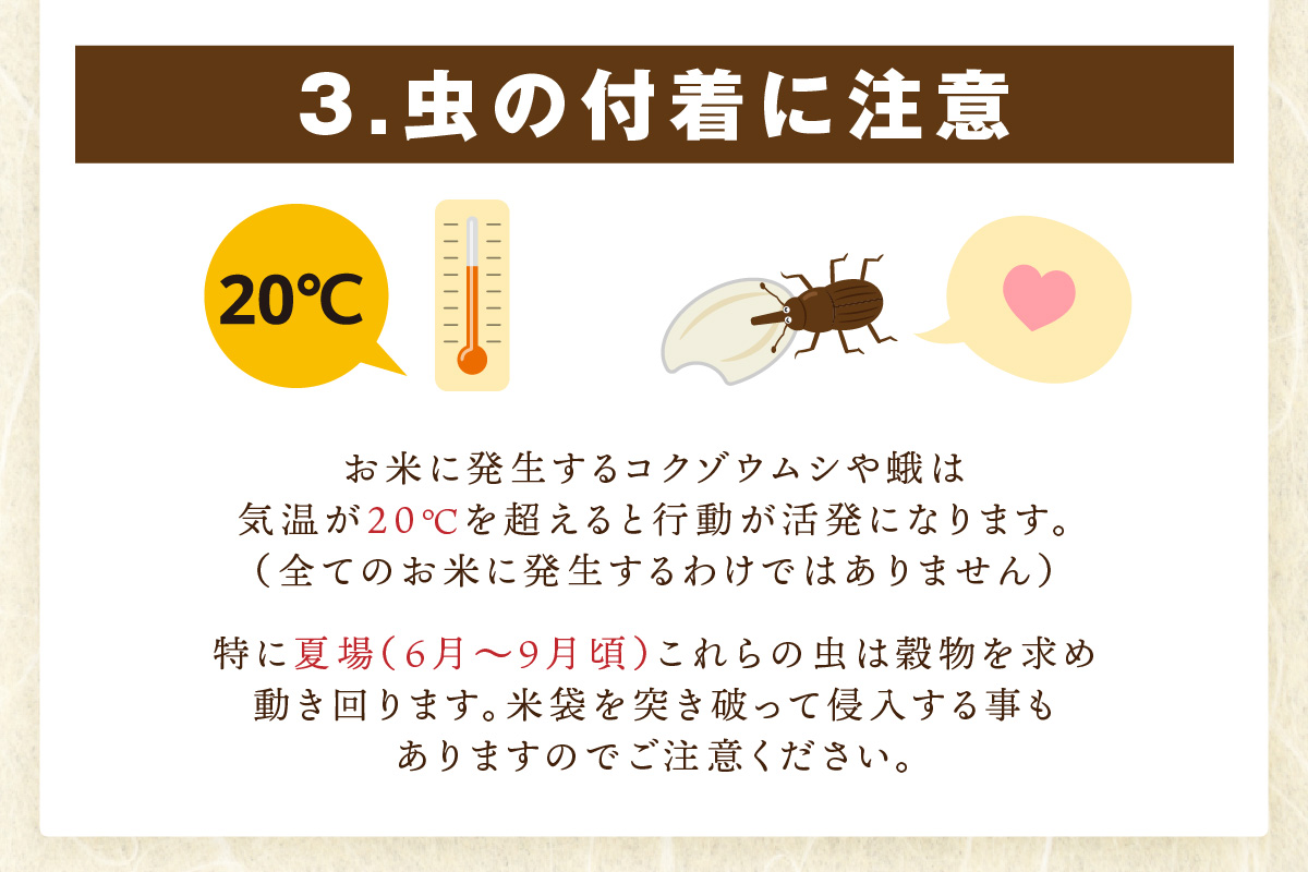 【無洗米】お米マイスター厳選!! 夢しずく2kg×3袋【真空パック】 B630_イメージ5