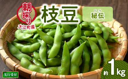 《先行受付》枝豆（秘伝）約1kg【2025年9月下旬より順次発送予定】 022-005