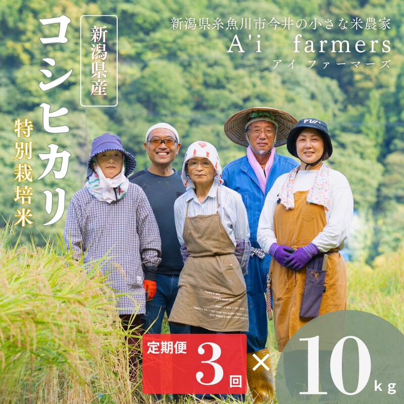 【ふるさと納税】令和7年産 コシヒカリ(BL)【3ヶ月定期便】 白米 10kg×3回 毎月お届け 計30kg 新潟県 糸魚川市産 減農薬 減化学肥料米 安心 安全 美味しいお米 新潟米 今井産 アイファーマーズ 今摺り米 精米 こしひかり おにぎり お弁当 おすすめ お米 コメ 2025