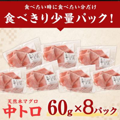 ふるさと納税 室戸市 【お刺身ちょこっとパック】天然本まぐろ 中トロ切落し 480g (60g×8パック) |  | 03