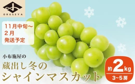 先行受付 蔵出し冬のシャインマスカット 約2kg 3～5房 ［小布施屋 ］長野県 ぶどう フルーツ 果物 冷蔵便 クール便 令和8年産 【2026年11月中旬～2027年2月発送】［C-2］