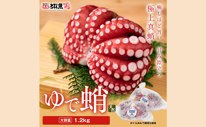 茹でまだこ 福井県産 1.2Kg （2～3杯）タコ ボイル 魚介 魚介類 海鮮 国産 福井県 若狭