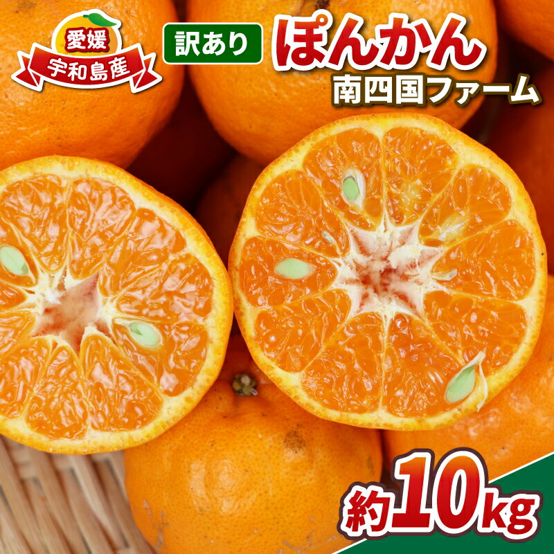 【ふるさと納税】 訳あり ぽんかん 10kg 南四国ファーム ポンカン 先行予約 柑橘 みかん 蜜柑 mikan 甘い コク 酸味 果物 くだもの フルーツ 愛媛ミカン 愛媛蜜柑 愛媛みかん 訳アリ 訳あり品 訳有り わけあり 数量限定 産地直送 農家直送 国産 愛媛 宇和島 B010-035017