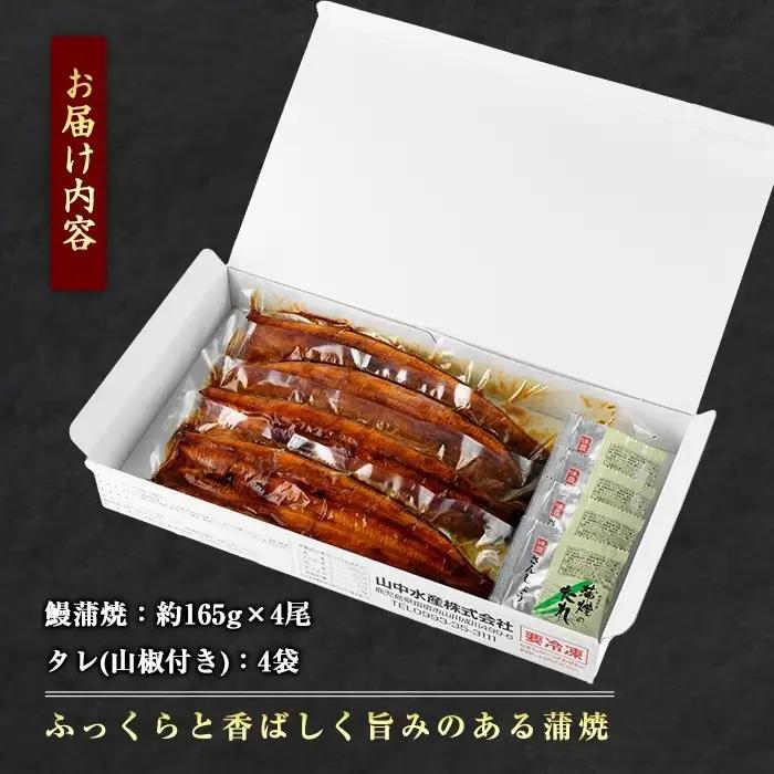 【丑の日に合わせてお届け！】鹿児島県産鰻の蒲焼(無頭背開き)約165g×4尾(山中水産/IB022-002u) うなぎ