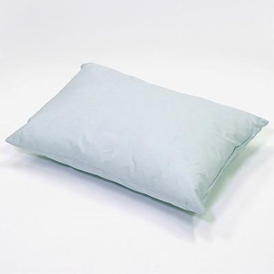 ふるさと納税 西脇市 アース製薬と共同開発!防ダニ枕【Dani Not】ポリエステルわた　【35cm×50cm】