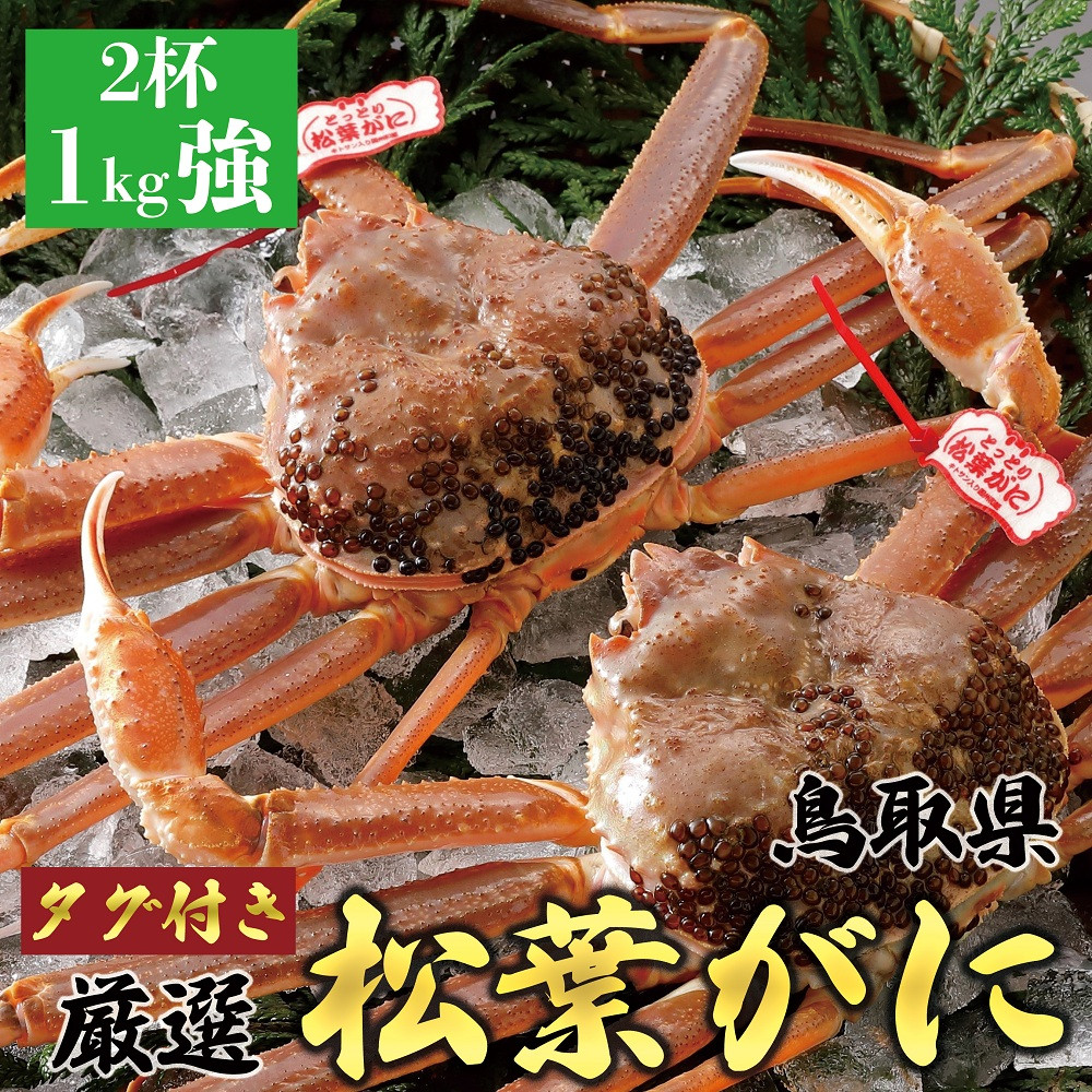 755.【活】【2025年12月～2026年1月発送】特撰 松葉がに【ブランドタグ付き】 特大2杯（1kg超×2杯） 313726_BS002VC01