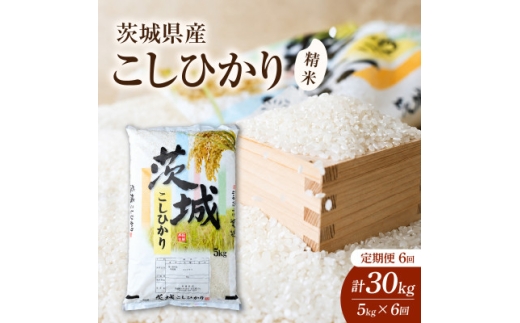 ＜毎月定期便＞茨城県かすみがうら市産　精米　コシヒカリ5kg全6回【4076523】
