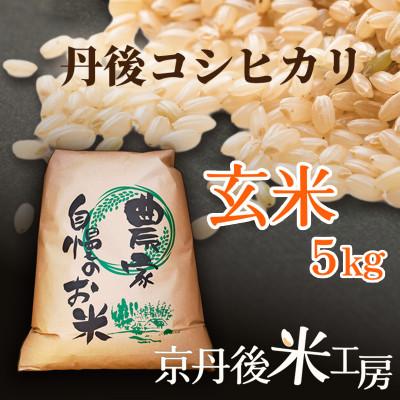 ふるさと納税 京丹後市 【先行予約】2026年産 京丹後産コシヒカリ 玄米5kg