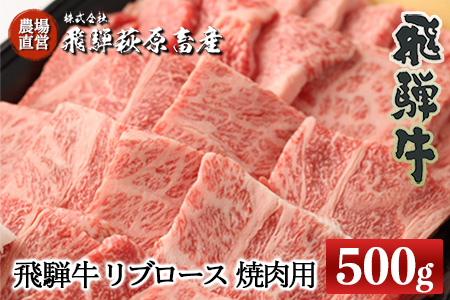 飛騨牛リブロース 500g（焼肉用）牛肉 国産 ブランド牛 【22-20【1】】【冷凍】