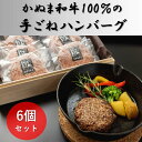 【ふるさと納税】かぬま 和牛 100％の 手ごねハンバーグ 6個セット ハンバーグ 鹿沼　【鹿沼市】