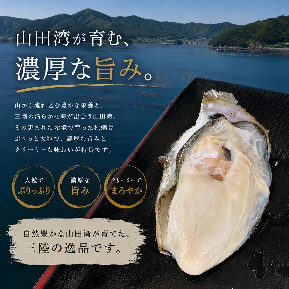 三陸山田の牡蠣 16個 殻付き牡蠣 かき