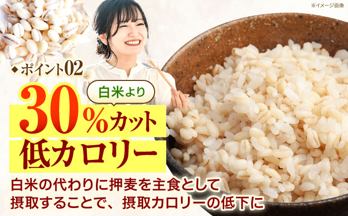 【全12回定期便】 押麦「長崎100年麦 御島裸」1kg×10袋 計10kg / 麦 むぎ 押麦 はだか麦 麦味噌 雑穀 雑穀米 食物繊維 小分け / 諫早市 / 有限会社伊東精麦 [AHBU012]