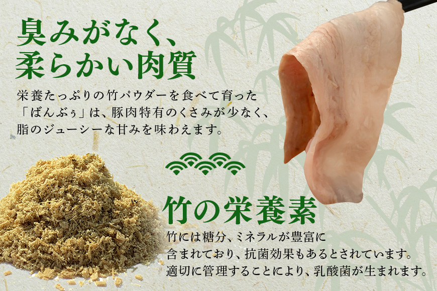 ブランド豚「ばんぶぅ」小分け 切り落とし 1kg（500g×2パック） 冷凍便 1キロ 大容量 たっぷり 豚肉 豚切り落とし 豚切落し 豚こま切れ 豚小間切れ 豚細切れ 豚こまぎれ ぶた肉 ブタ肉 国