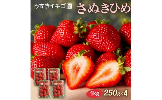 いちご 苺 さぬきひめ 約1kg (250g×4) 2027年 産地 直送