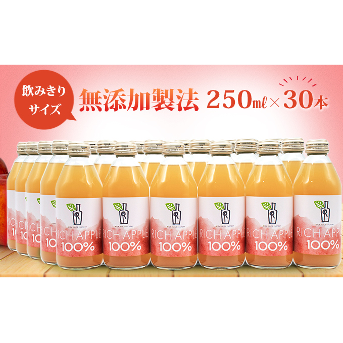 りんごジュース RICH APPLE　無添加製法　30本セット（250ml×30本）