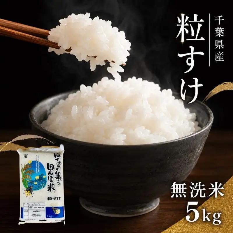無洗米 粒すけ 5kg 単一原料米 新品種 無洗米