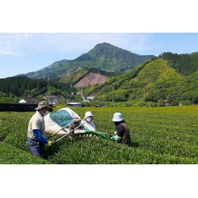 ふるさと納税 美郷町 緑茶 厳選茶葉使用 ひむかのお茶 500ml×18本 1ケース |  | 01