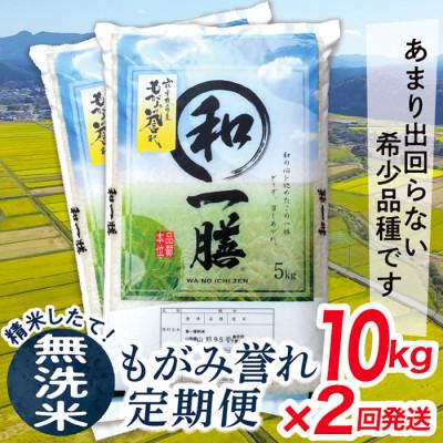 ふるさと納税 最上町 【毎月定期便】買い忘れなしで美味しいもがみ誉れ10kg(無洗米)が届く全2回