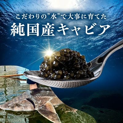 【先行予約】純国産キャビアVoeu-Pence　20g×1個【配送不可地域：離島・沖縄県】