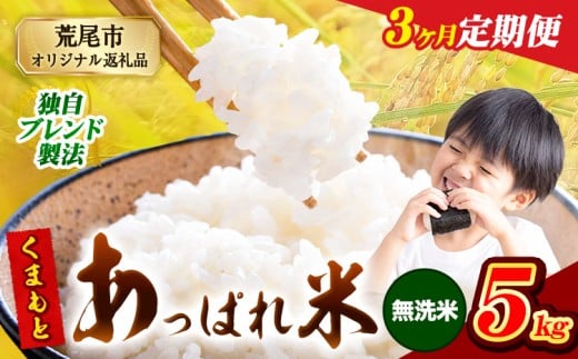 【3ヶ月定期便】熊本県産 くまもとあっぱれ米 ブレンド米 5kg 熊本県産 ふるさと納税 無洗米 精米 米 こめ ふるさとのうぜい コメ お米 おこめ《お申込み翌月から出荷》